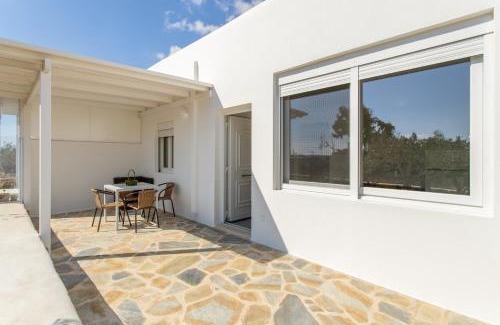 Drios Apartment | Andriana's 1 - Cycladic Home with Garden , Paros