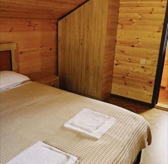 Bagvdanari Ski Chalet | Andrias Wooden Hut