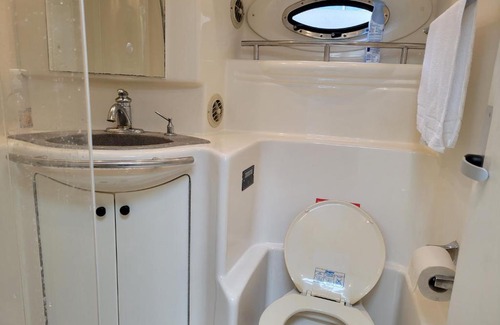 Central Boat Rental | ANGEL KIM