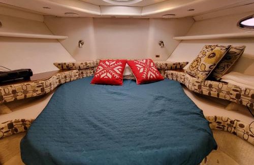 Central Boat Rental | ANGEL KIM