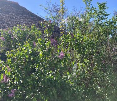 Sarud Apartment | Anna Falusi Vendégház Sarud