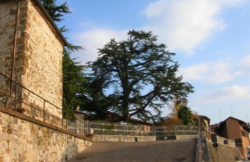 Buttrio Bed & Breakfast | Antica Scuderia