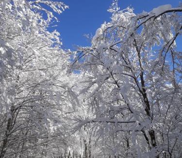 Firenzuola Bed & Breakfast | Antica Terrazza Pietramala