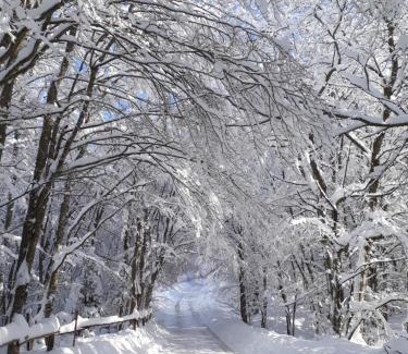 Firenzuola Bed & Breakfast | Antica Terrazza Pietramala