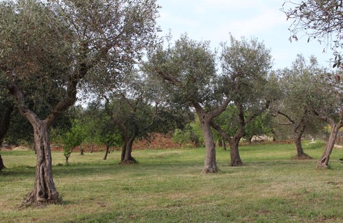 Martina Franca House | Antiche Dimore TerraRossa