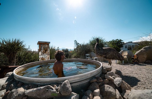 Morongo Valley House | Antique Barn w/Hot Tub, Views, Emus, Mini Horses, Mini Cows, Mini Pigs, & More!