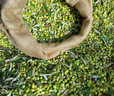 Stoupa House | Antonias house