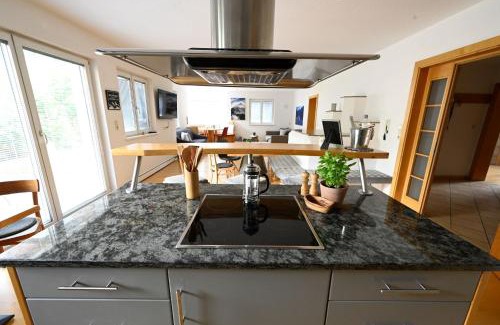 Laengenfeld Apartment | Apart Aria