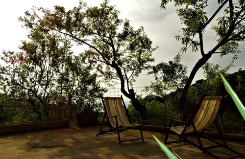 Stiniva Apartment | Apartment Zrinka (88501-A1) - Marinje Zemlje - island Vis