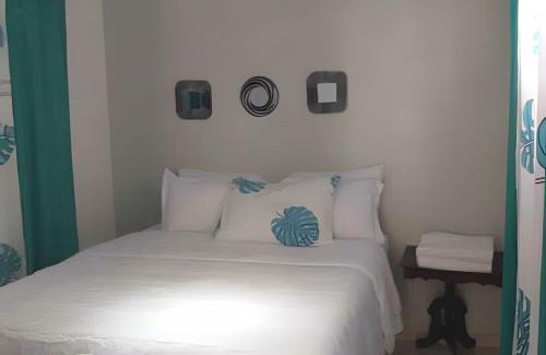 Centro Apartment | Apartamento entero en Samaná Los tios 1 y 2