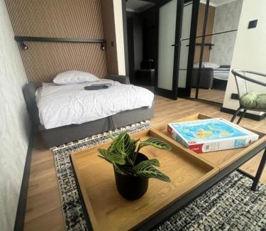 Gniezno Apartment | APARTAMENT 2LEVEL Bulwary Centrum