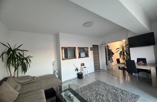 Ramnicu Valcea Apartment | Apartament Andreea pe Dem Radulescu!