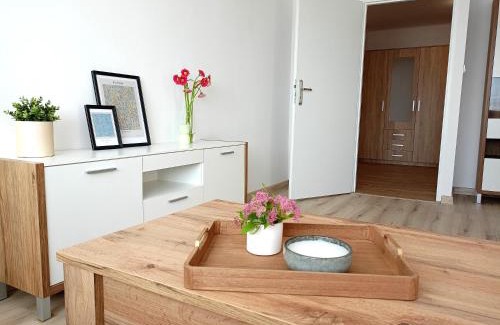 Bilgoraj Apartment | Apartament Biłgorajski w Śródmieściu