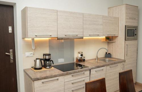 Krynica-Zdroj Apartment | Apartament City Center Familijny