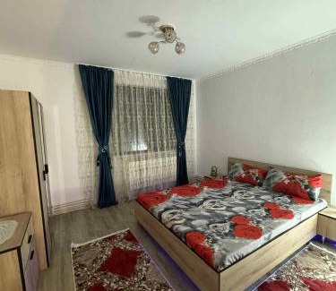 Turnu Magurele Apartment | Apartament de închiriat