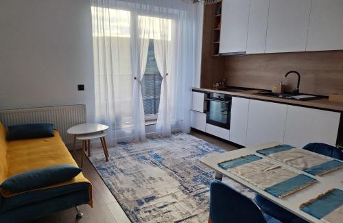 Chinteni Apartment | Apartament Delisis Rezidence