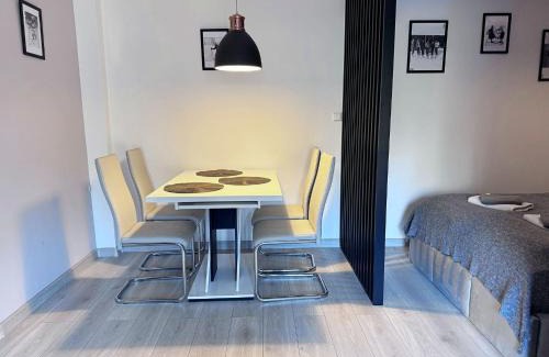 Boguszow-Gorce Apartment | Apartament Dzikowiec