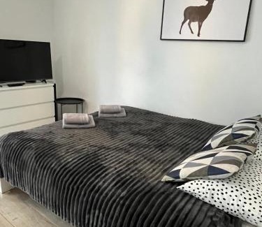 Rybnik Apartment | Apartament Fibra Americano