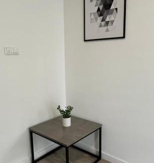 Rybnik Apartment | Apartament Fibra Americano