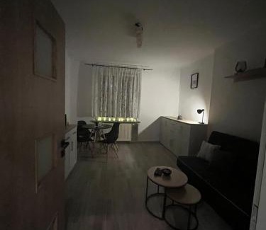 Zabrze Apartment | Apartament Górnik
