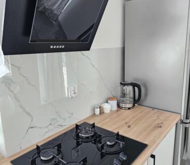 Wegrow Apartment | Apartament Iga