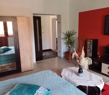 Calea Sever Bocu Apartment | Apartament la casa Gina, Iulius Mall