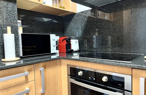 Alt Aneu Apartment | Apartament La Gisca