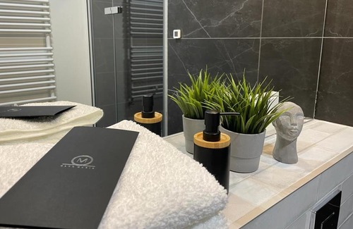 Srodmiescie Apartment | Apartament Młyn Maria na Ostrowie Tumskim w centrum Wrocławia dla 4 osób