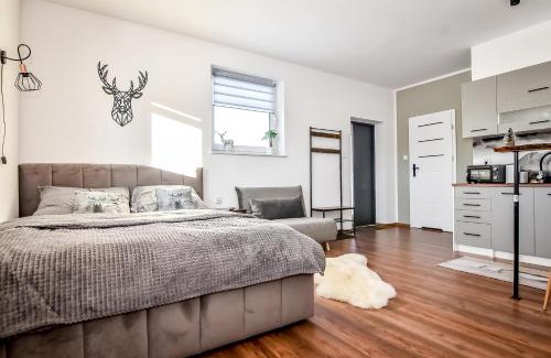 Bialy Dunajec Apartment | Apartament Magiczny Widok z widokiem na góry Biały Dunajec