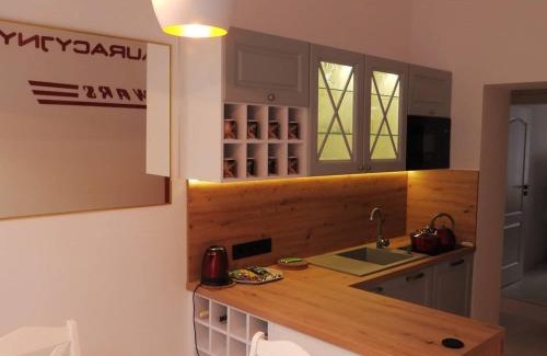 Jedlina-Zdroj Apartment | Apartament Na Dworcu