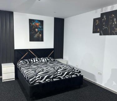 Simnicu de Sus Apartment | Apartament Nr 7