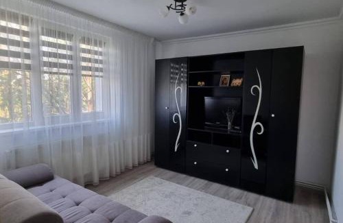 Drumul Taberei Apartment | Apartament parc Drumul Taberei
