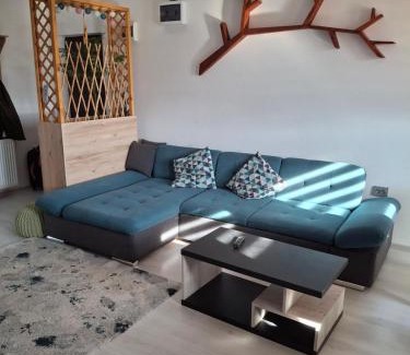 Craiova Apartment | Apartament Parc Romanescu 4 locuri-2 familii