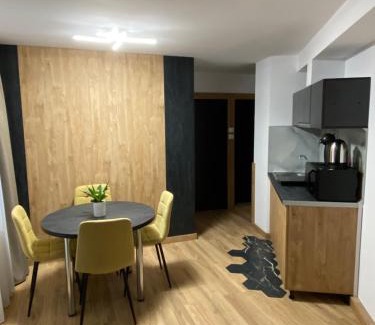 Busteni Apartment | Apartament Pensiunea Liziera