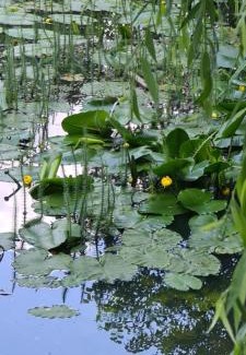 Staniszow Apartment | Apartament pod Górą Witosza