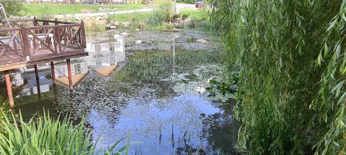 Staniszow Apartment | Apartament pod Górą Witosza