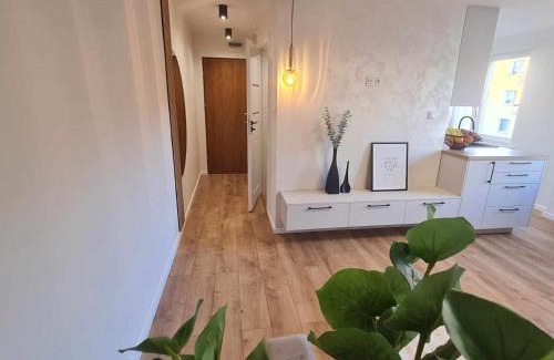 Pionki Apartment | Apartament pod lasem