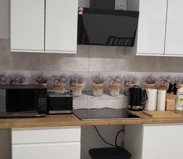 Drawsko Pomorskie Apartment | Apartament Przy Deptaku 2