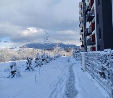 Zarnesti Apartment | Apartament Ramonte