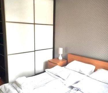 Pradnik Bialy Apartment | Apartament Reja 11