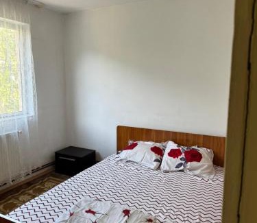 Drobeta-Turnu Severin Apartment | Apartament 2