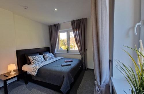 Rytro Apartment | Apartament rodzinny- Willa Lawenda