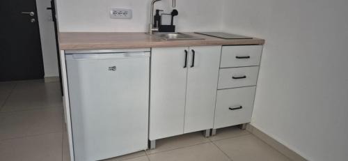 Bistrita Apartment | Apartament Sofia