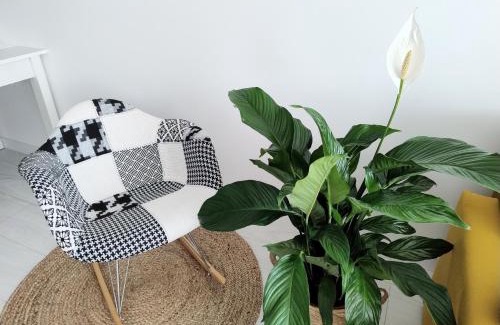 Kielce Apartment | Apartament Sowia, bezpłatny Parking, Winda, Targi, Faktura VAT