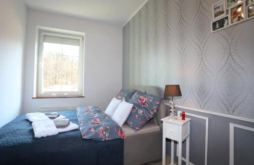 Szczawno-Zdroj Apartment | Apartament Winston