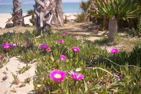 Cabrita Apartment | Apartamento a la Playa