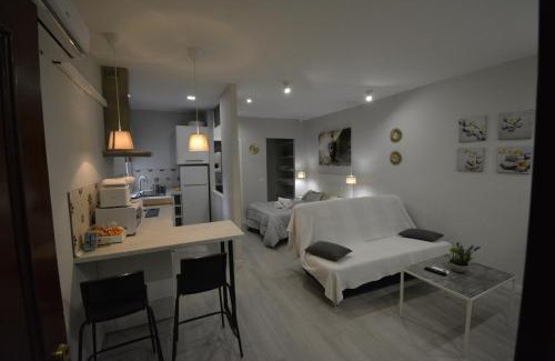 Centro Comercial Apartment | Apartamento Calle Concepción Pleno Centro
