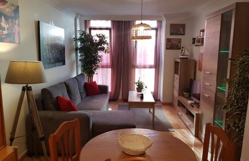 Los Llanos Apartment | Apartamento Hill Valley