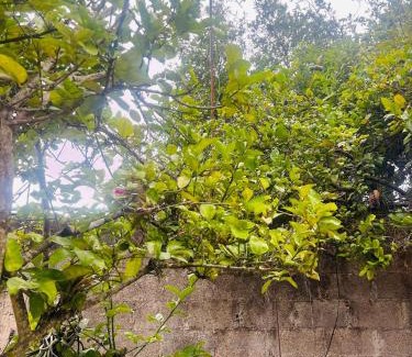 Cartago Apartment | Apartamento SamSay III