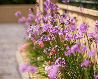 Pedrena Apartment | Apartamentos el Proel